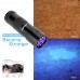 FOXNOV 12 LED UV Blacklight Flashlight Pet Urine Stain Detector, 395nm with 3 AAA Batteries